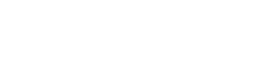 dziedzic logo white